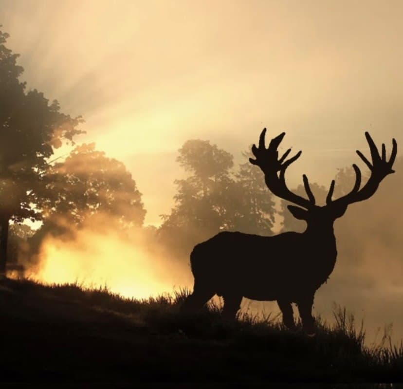 Duma Deer Processing