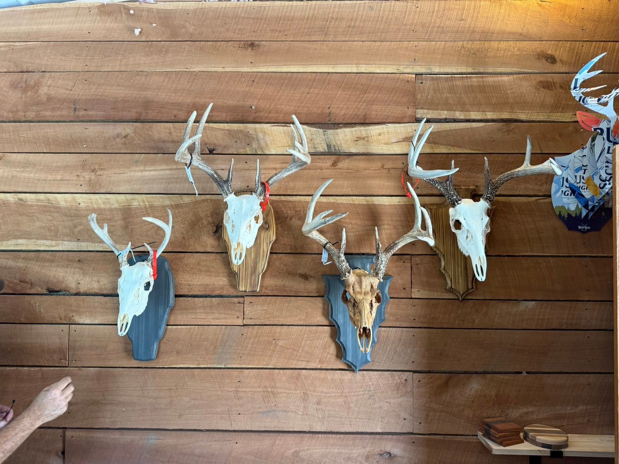 Geer's Deer Processing